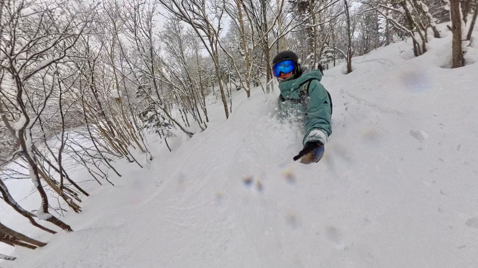 Furano Powder