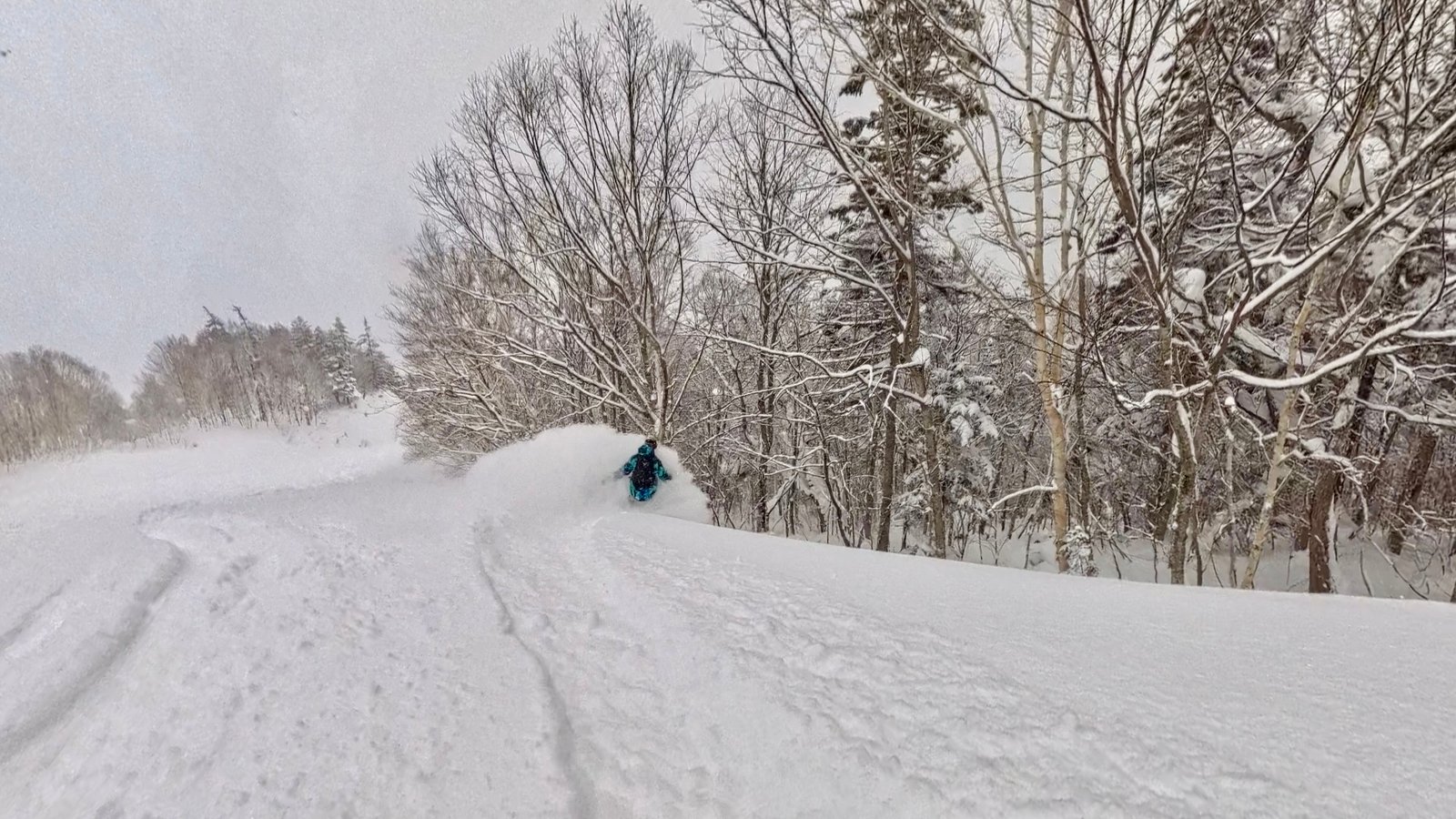 Furano Blower Pow