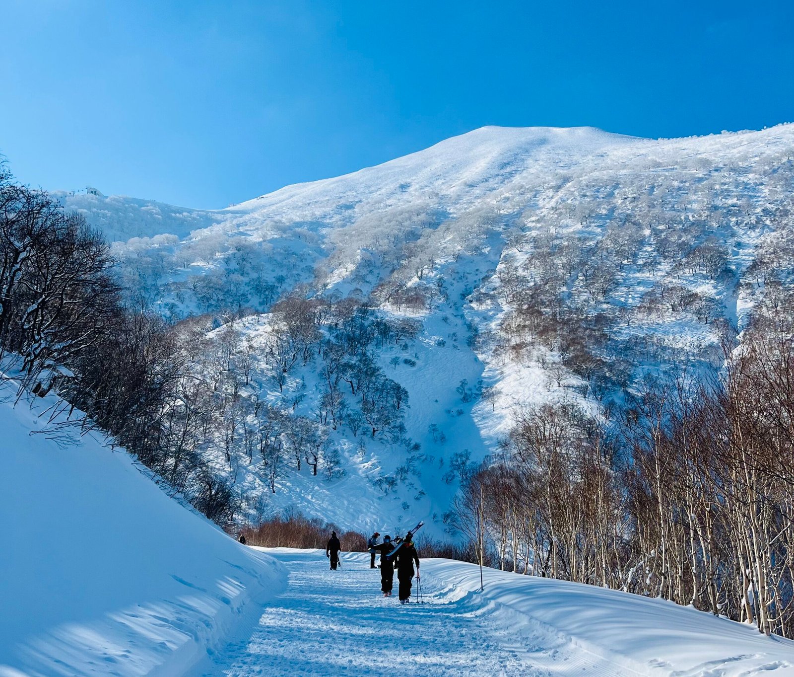 Niseko